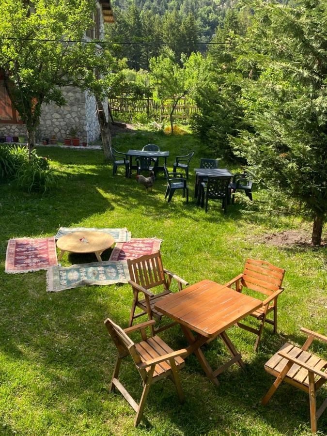 Guesthouse Demushi Valbone Exterior foto