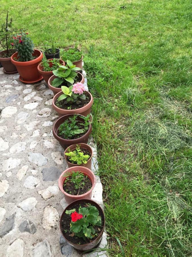 Guesthouse Demushi Valbone Exterior foto